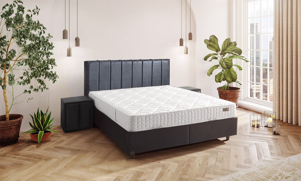 FUGA BAŞLIK - DELUXE